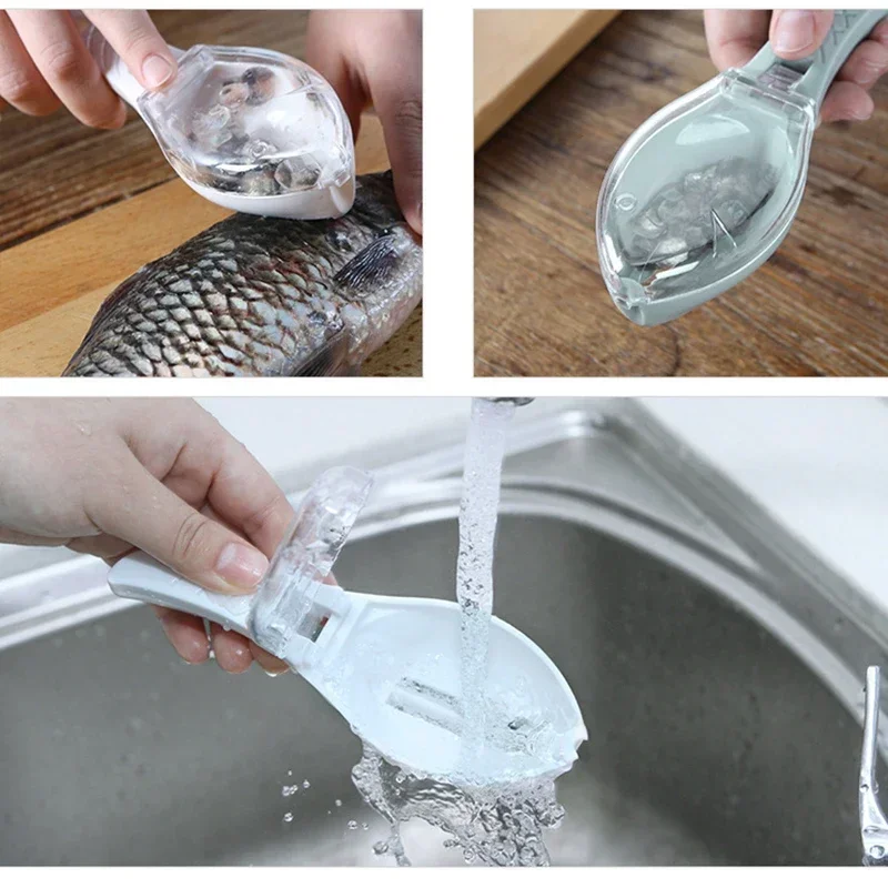 Manual Fish Scale Scraper with - đánh giá và giá Fishing Equipment Kitchener